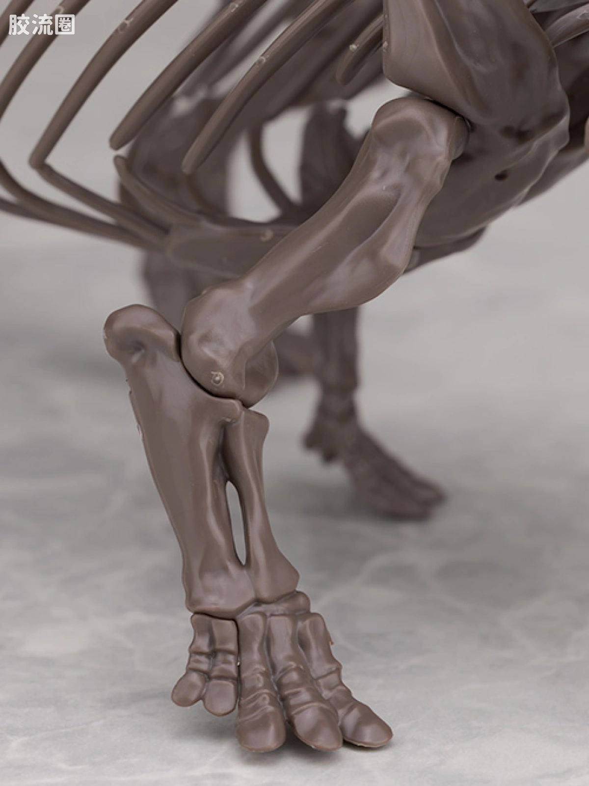 万代综合拼装模型系列 Imaginary Skeleton系列 三角龙 - 图片